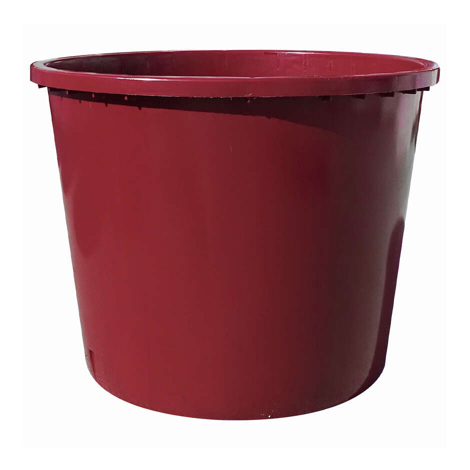 Polsinelli - Mastellone Vinaccia in Plastica da 500 L