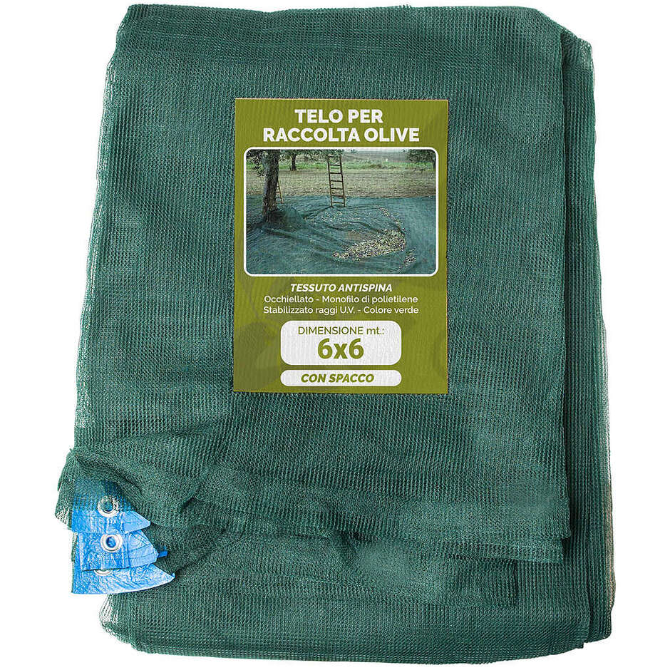 Polsinelli - Rete per Raccolta Olive 6x6 con spacco